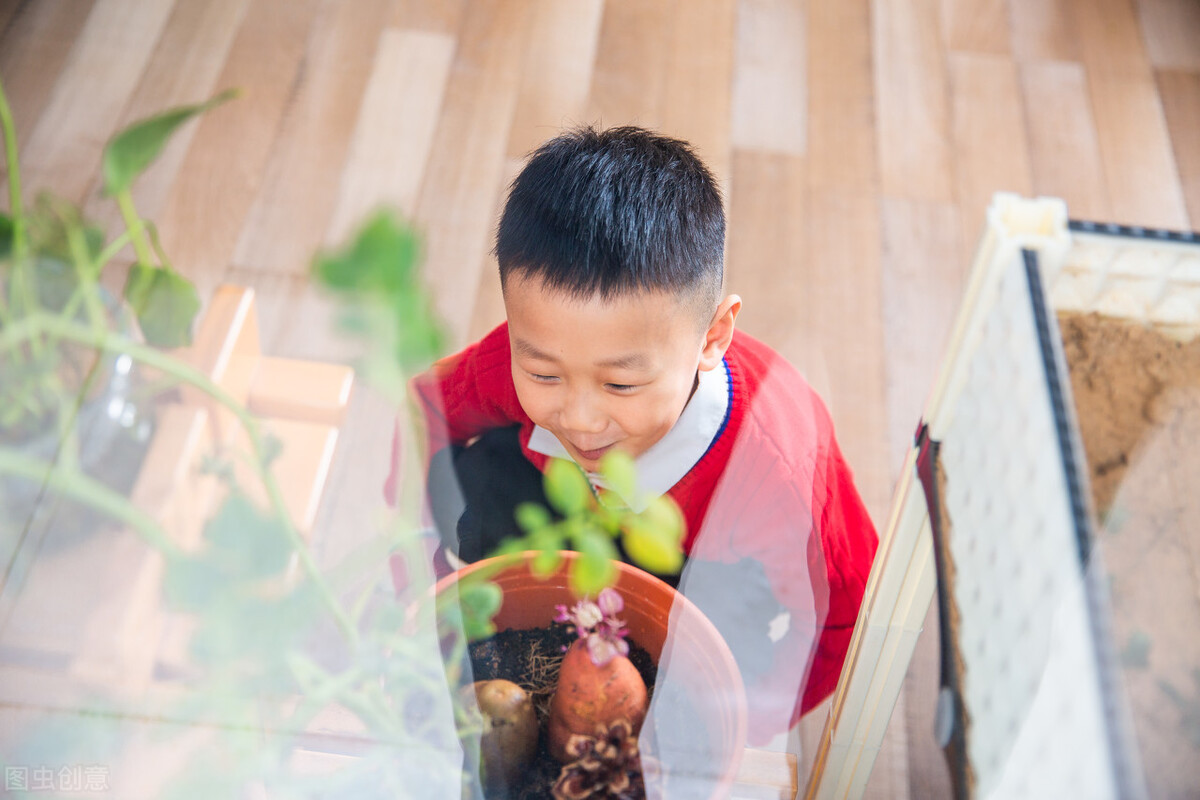 孩子光想玩不爱学习怎么办,女儿叛逆期整天玩手机不爱学习