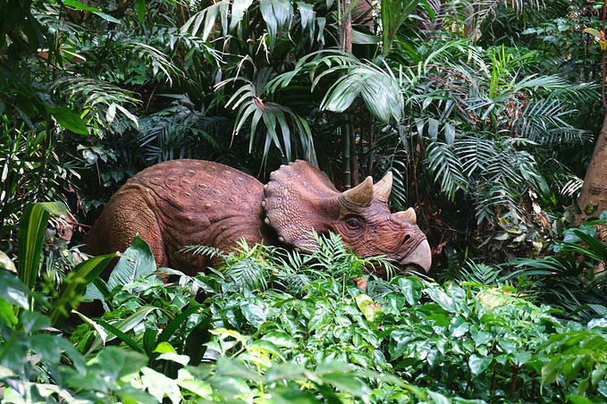 常州恐龙园和珠海长隆哪个好玩,珠海长隆海洋王国好玩吗