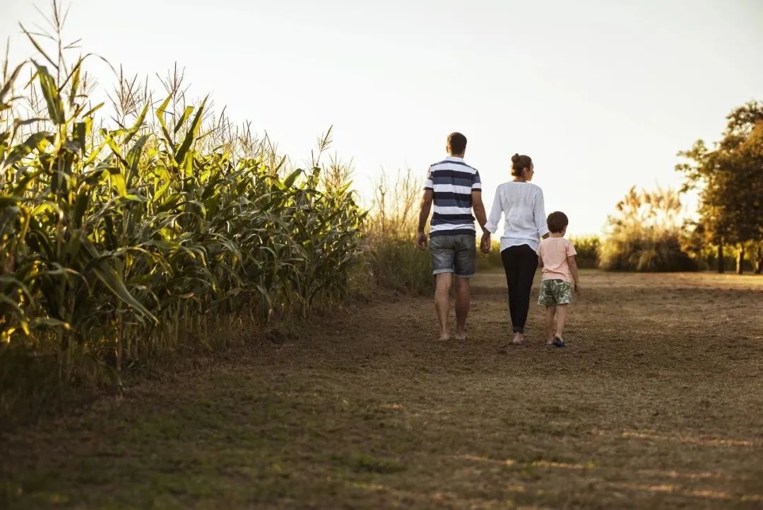 偷看孩子的视频的后果,偷看孩子学习视频