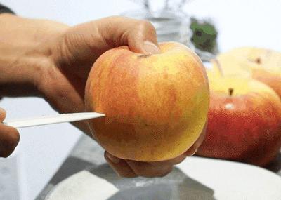 应季水果才能吃得更健康更安全,新鲜应季水果多种吃法