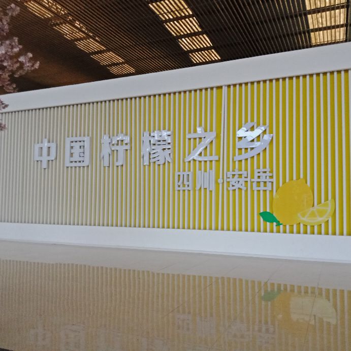 安岳柠檬小镇宝森收门票不,安岳宝森柠檬小镇门票