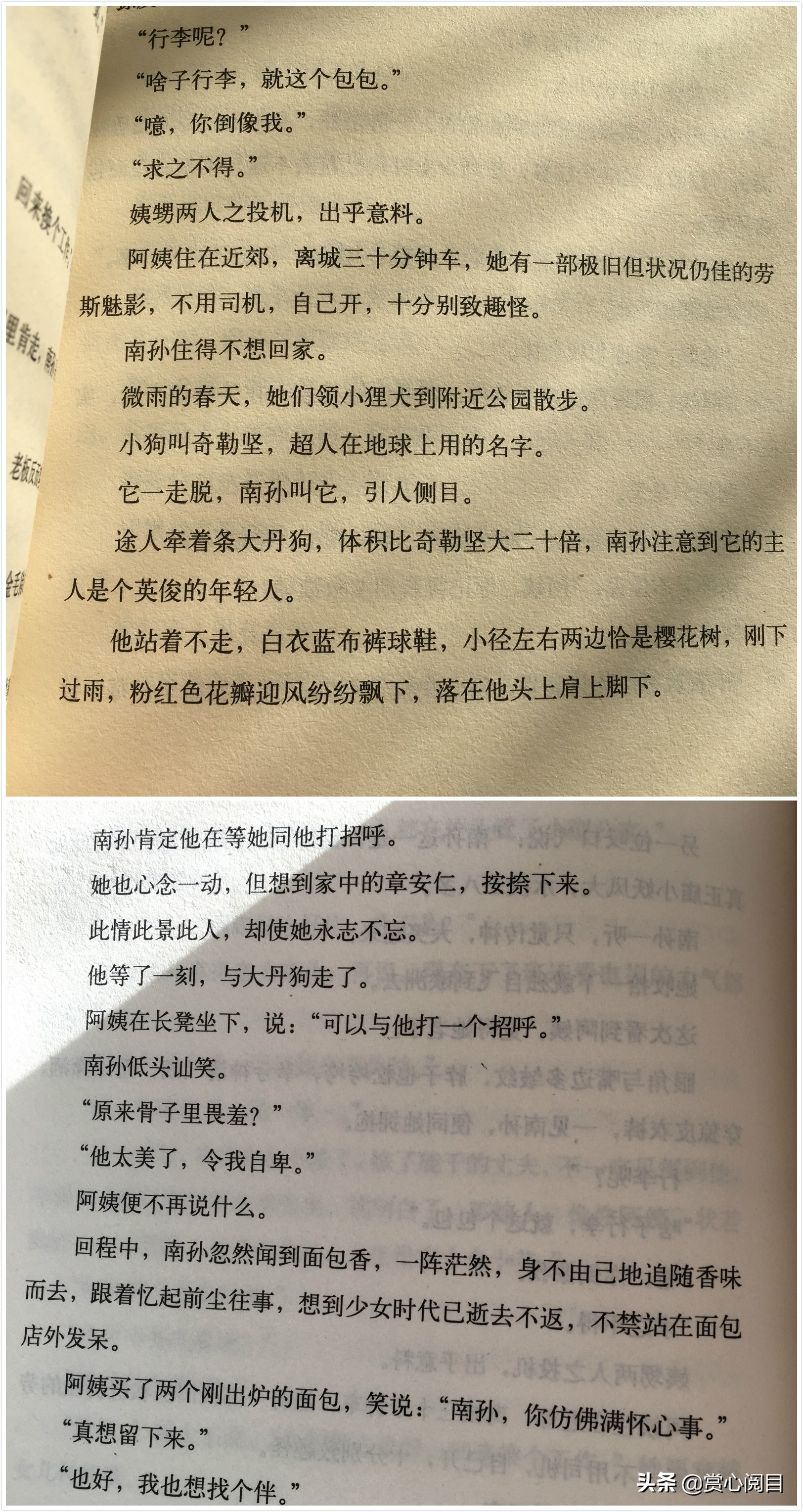 亦舒流金岁月和电视剧相比,亦舒小说改编的电视剧有哪些