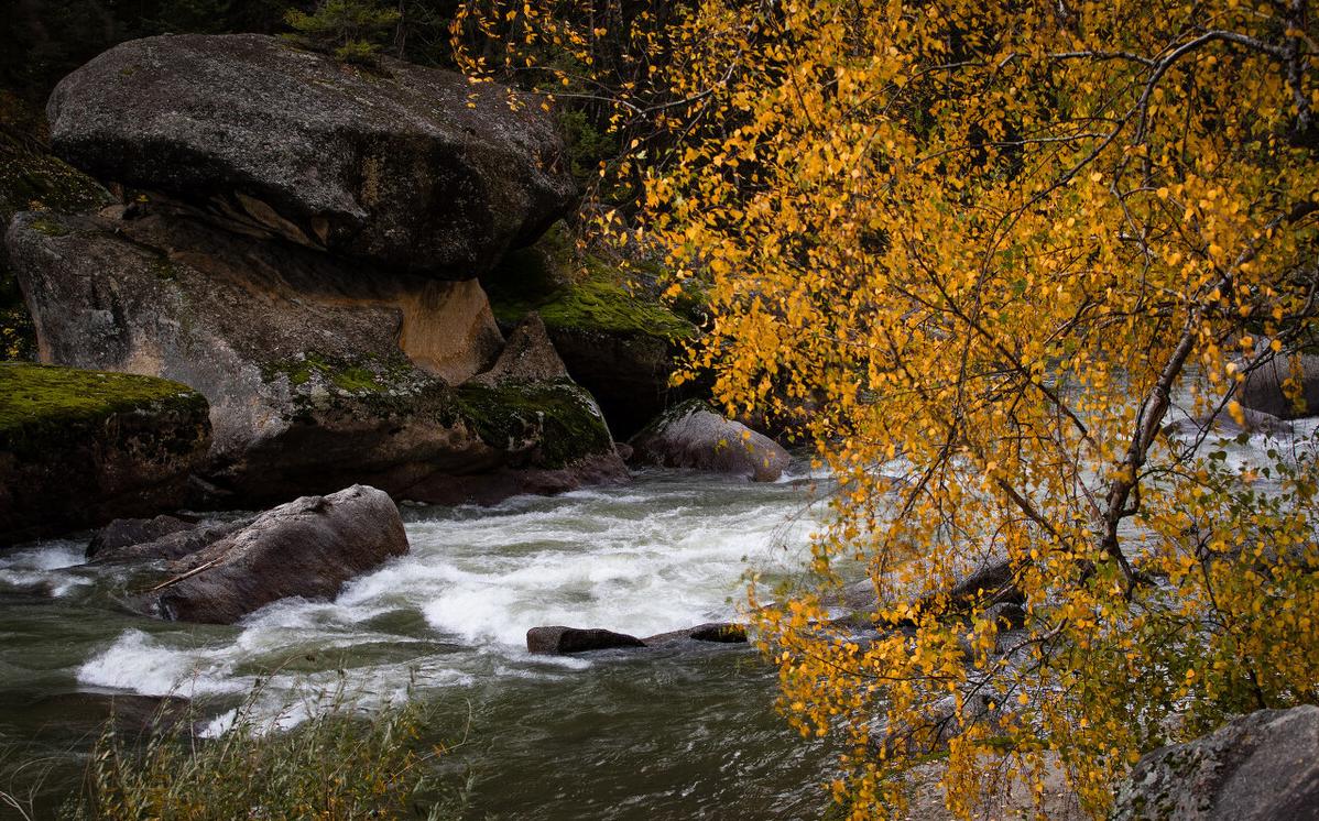 常年大便干结怎么调理,大便干结怎么调理比较好