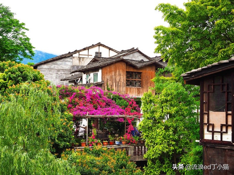 贵州习水县观景台,贵州十个红军长征景点