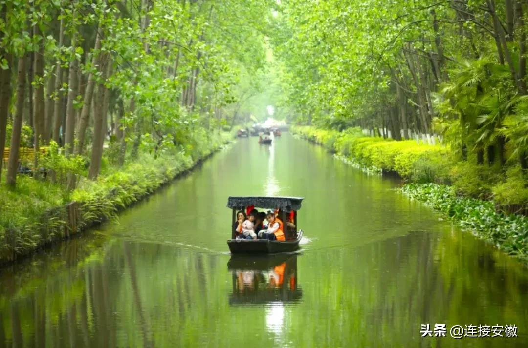 安徽合肥免费旅游攻略,合肥春节免费游怎么预约