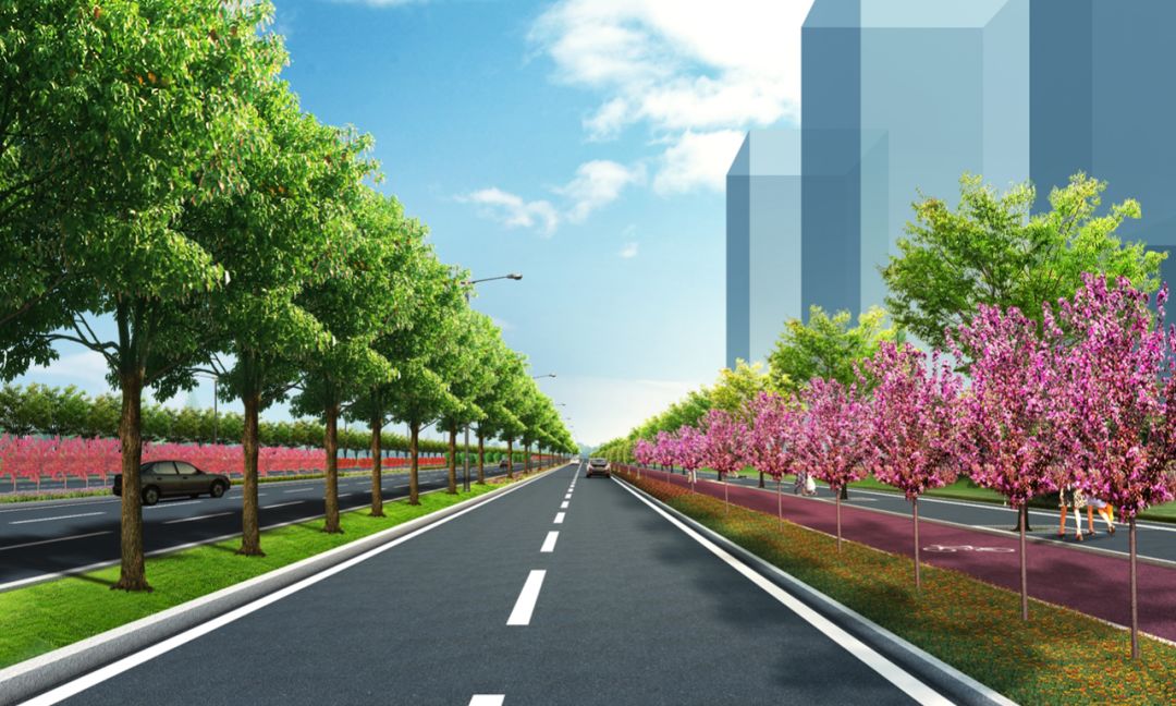 自贸区小高层哪家好 (自贸区小高层)