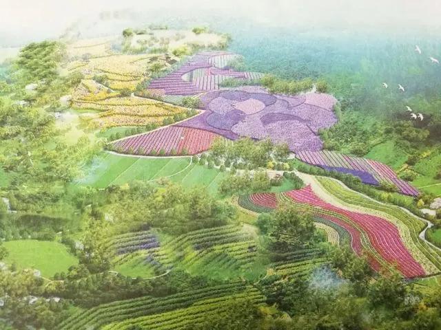 我的外公梅兰芳,我的外公书法