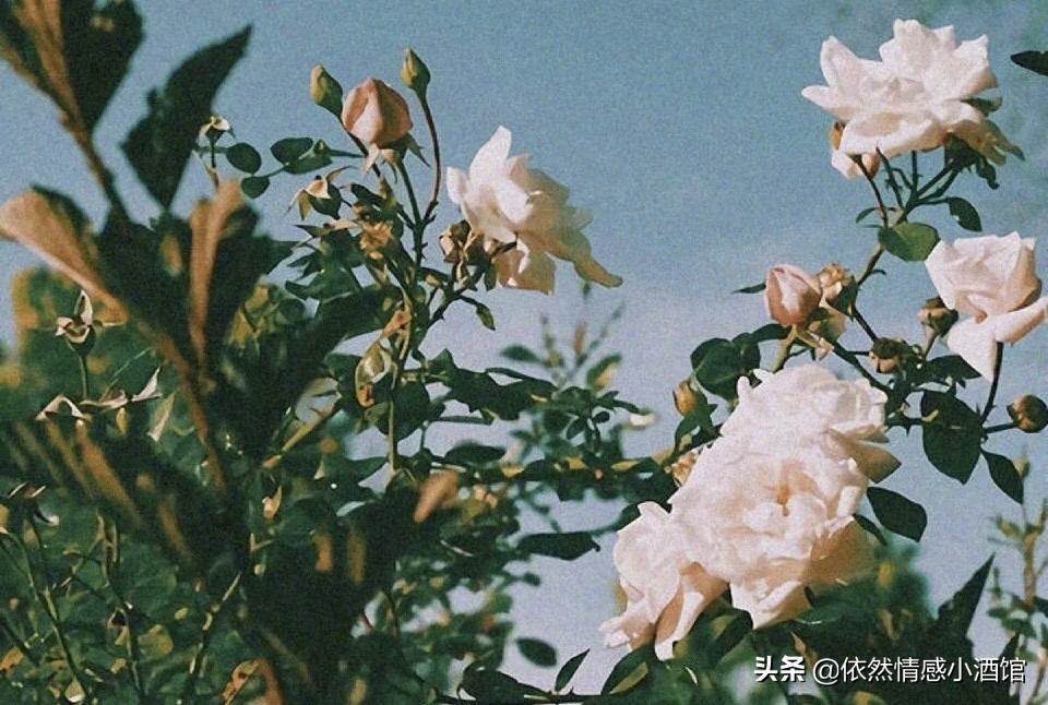 没见过世面的人就发朋友圈吗,不回信却在发朋友圈的人是啥心理