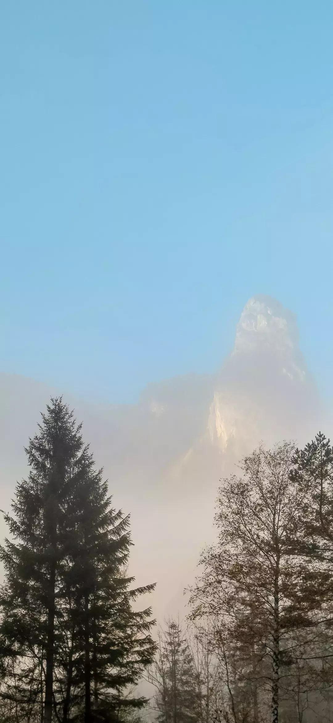 老虎壁纸超清4k手机壁纸iphone,iphone壁纸4k佛像壁纸