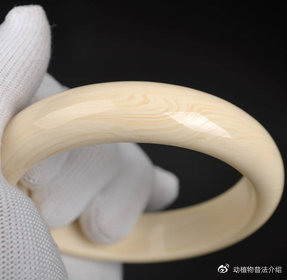 文玩流行的动物制品 (十种野生文玩)