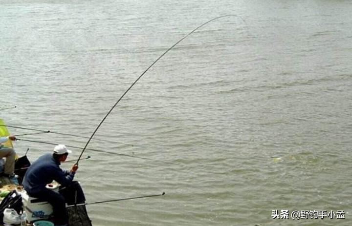 野钓大鱼太难了怎么办,野钓遇到大鱼如何溜鱼