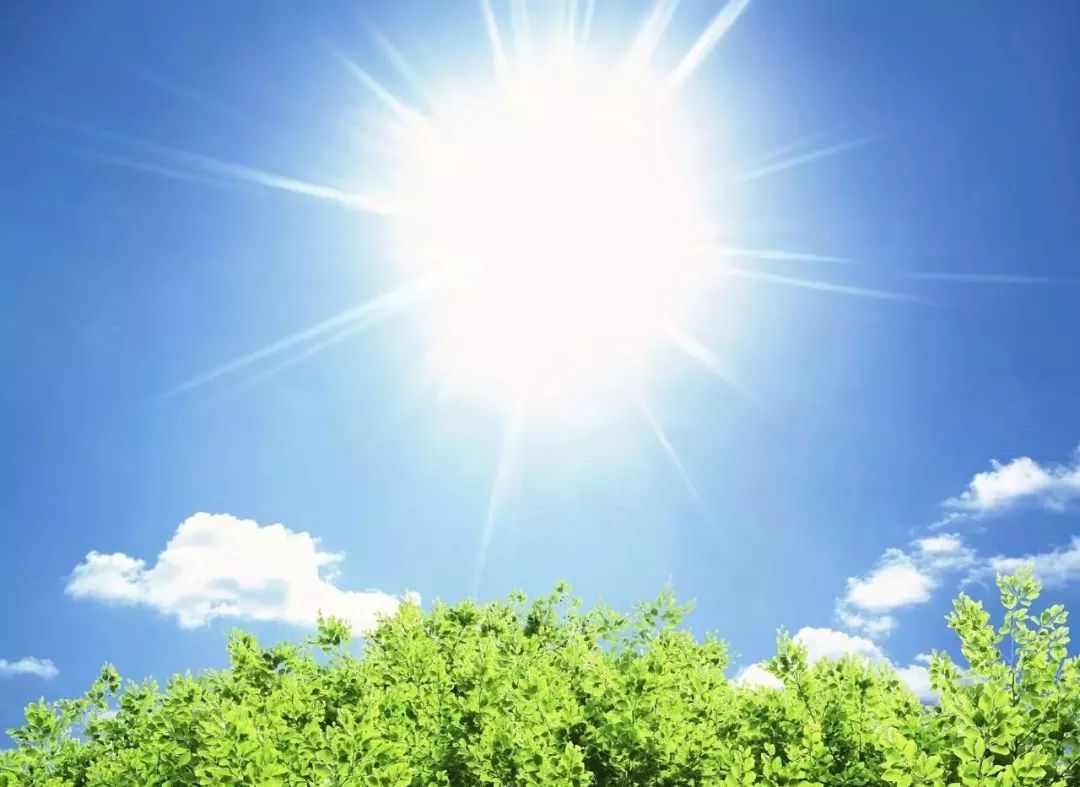 中药材真空包装可以保存多久,中药材在常温下能保存多久