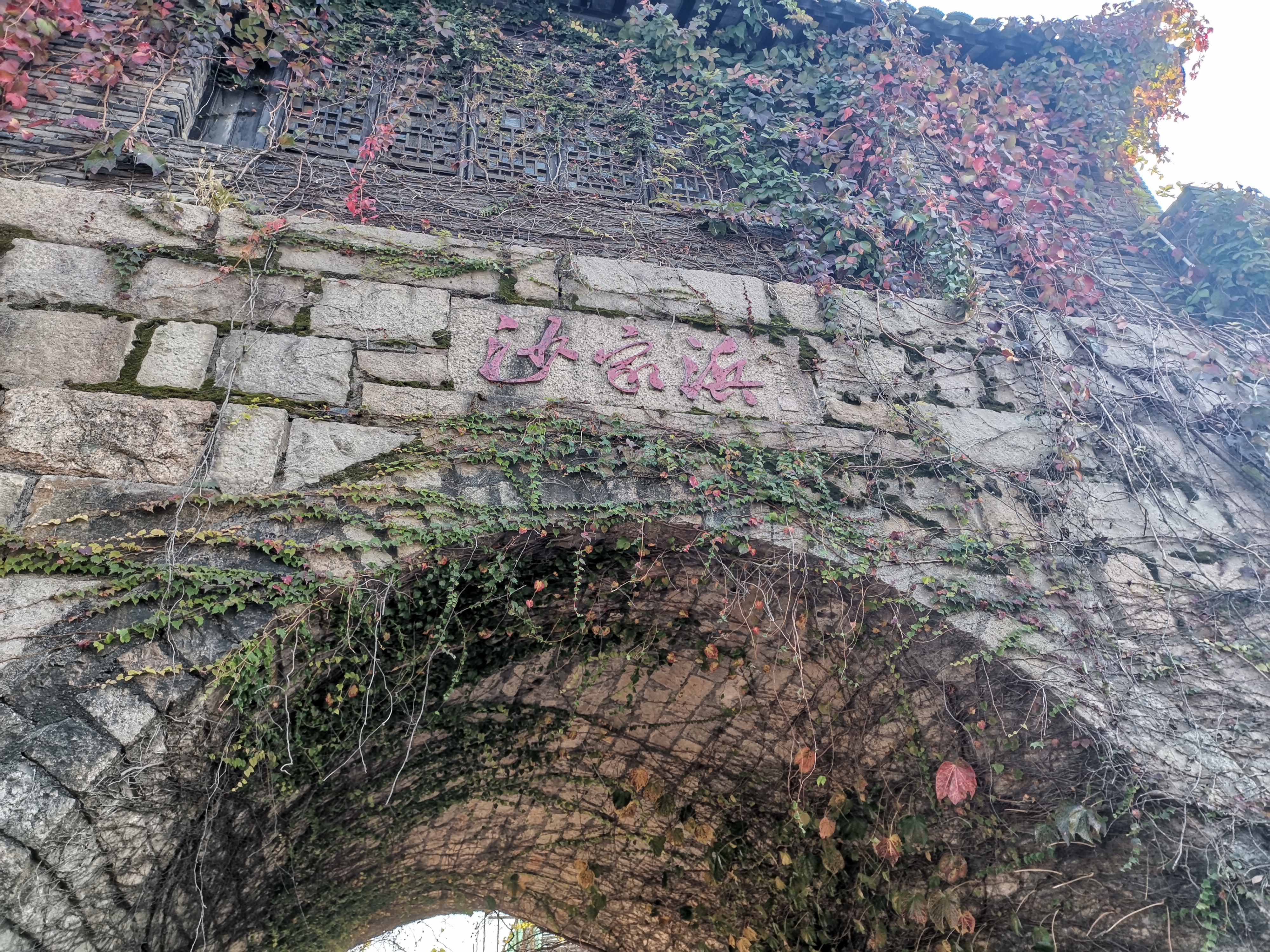 沙家浜故地重游,最经典的沙家浜