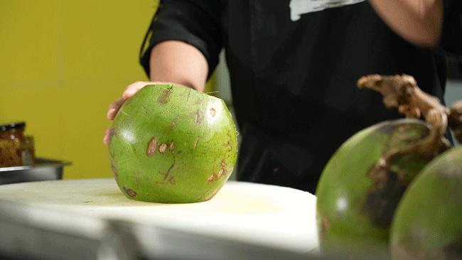 泰国鸡和缅鸡杂交后代,中泰越混血椰子鸡