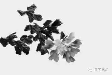 写意牡丹的画法步骤视频教程,王雪涛写意牡丹画法视频大全