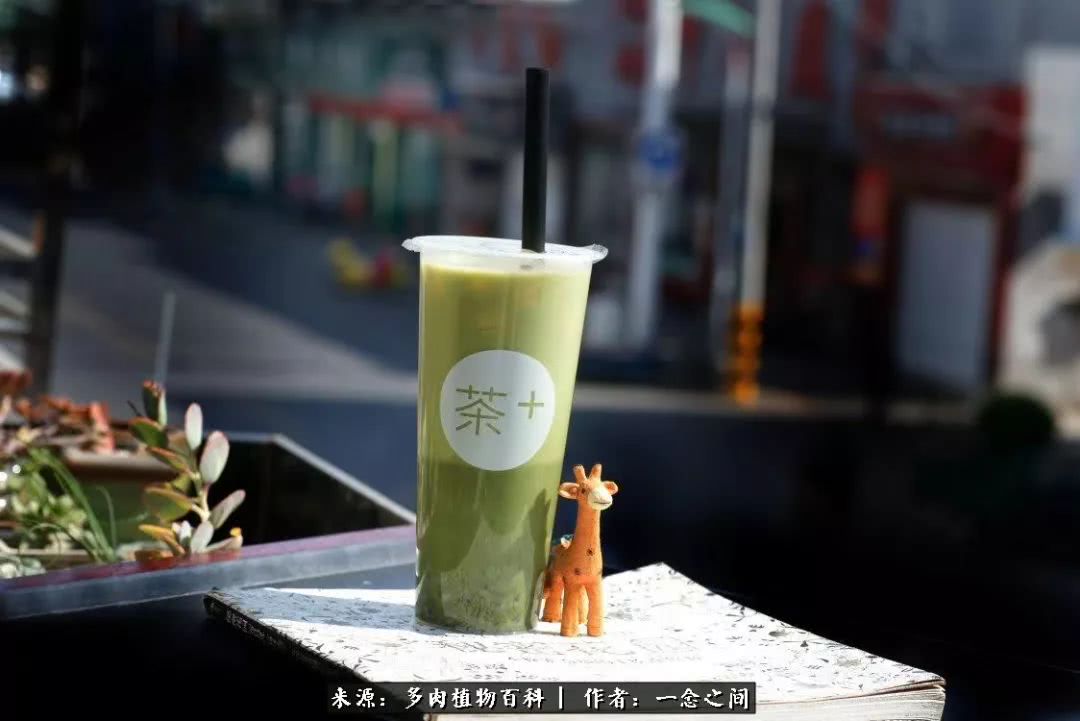 多肉牛群里的“七福神”（下）：男神篇！