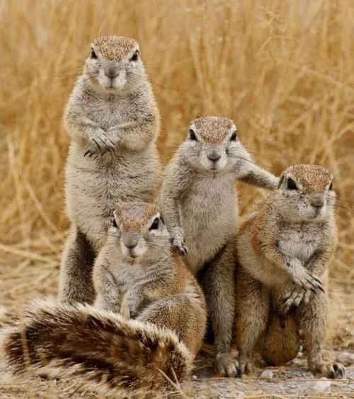 发现被别人偷拍照片,偷拍别人的照片是否违法