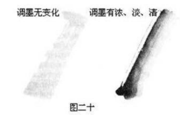 梅花画法简笔画,梅花画法的视频