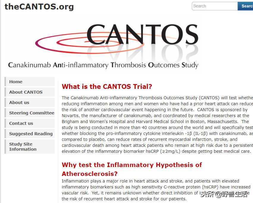 牛油果是真有营养还是虚假宣传,被捧上天却毫无作用的食物