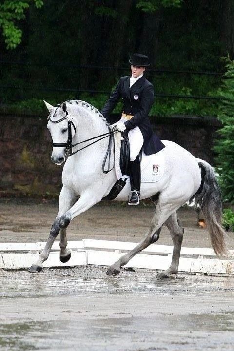 英伦风马术穿搭,法式宫廷马术风