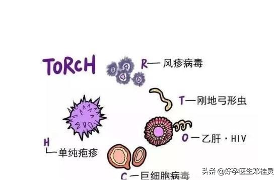 生化妊娠为什么要做免疫系统治疗,什么是免疫凝血妊娠