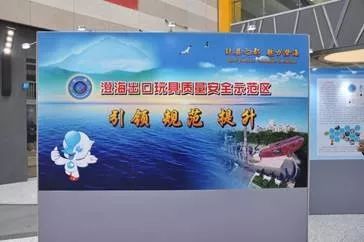 玩具检测行业前景怎么样,汕头市澄海区玩具行业现状