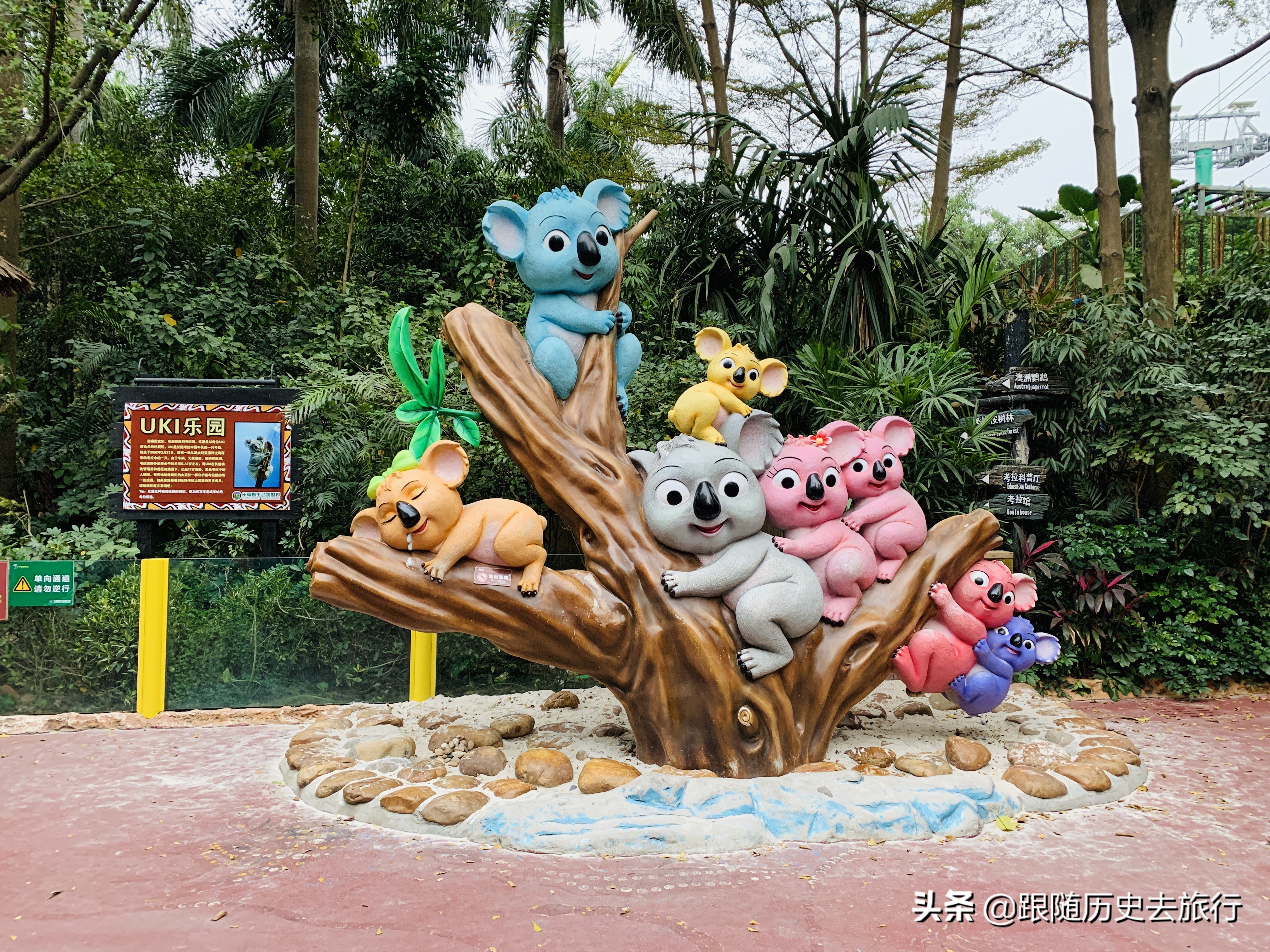 广州长隆水动物世界看大熊猫攻略,广州长隆动物园里的熊猫萌萌