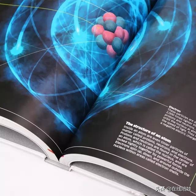 dk知识大百科全套,dk知识大百科书金银版