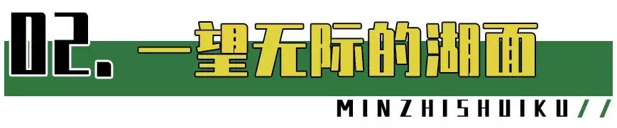 深圳市美美美,深圳最美免费水库