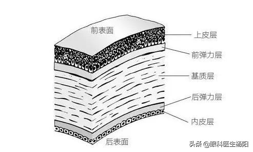 近视飞秒和icl晶体哪个好,全飞秒和icl哪个危害大