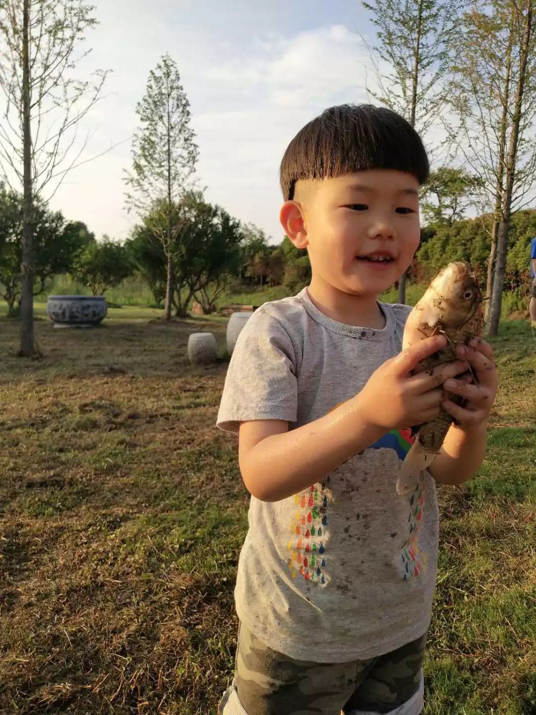 紫薇园宿州露营音乐节,中华紫薇园露营