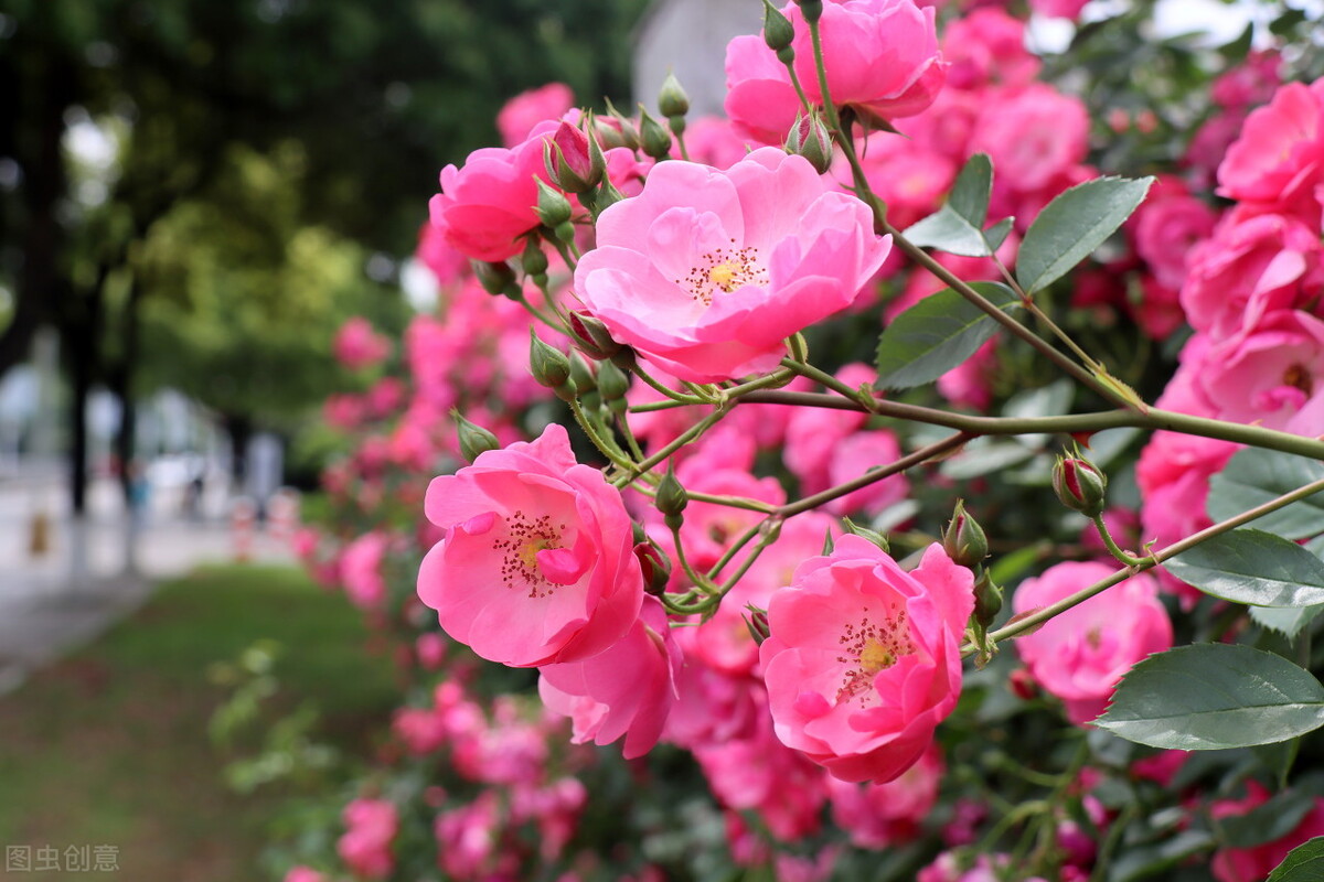 婆婆:当父母的花你们钱怎么了?我:经过我同意吗?凭什么?