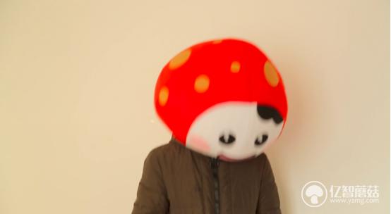 海尔洗衣机xqb100-bz206怎么样,洗衣机婴幼儿护洗功能有用吗