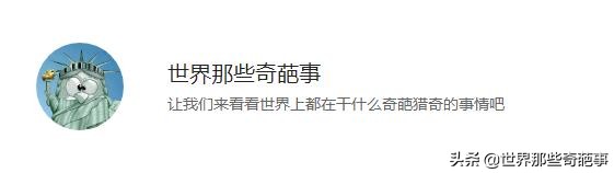 美国种族歧视影响司法判决?从谋杀到无罪释放——O·J辛普森案