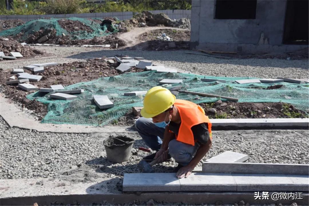 见证奇迹会发现什么,见证奇迹最新