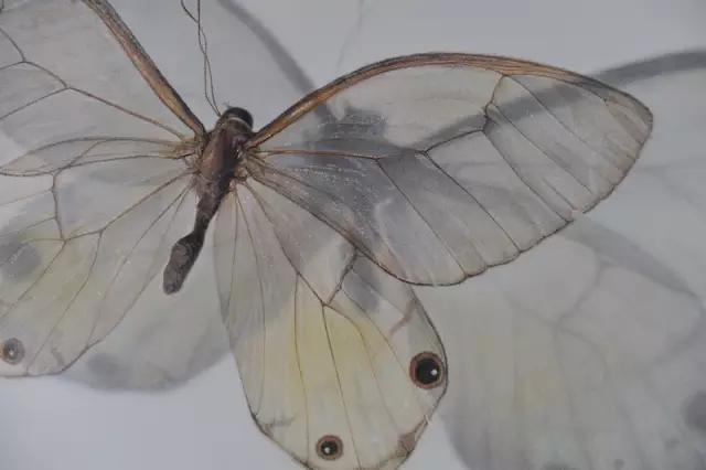 那些让人惊艳的素描,100幅精微素描图片