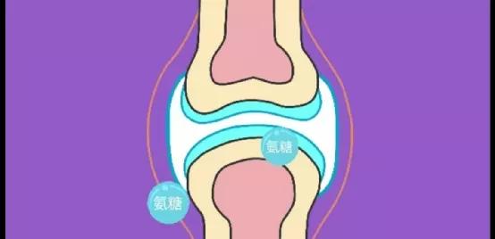 直立行走对人类有什么好处,直立行走对人类有影响吗