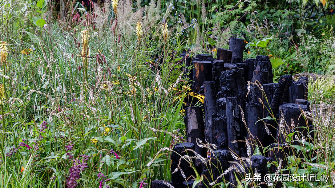 2023年切尔西花展各个花园的介绍,切尔西花展最佳花园