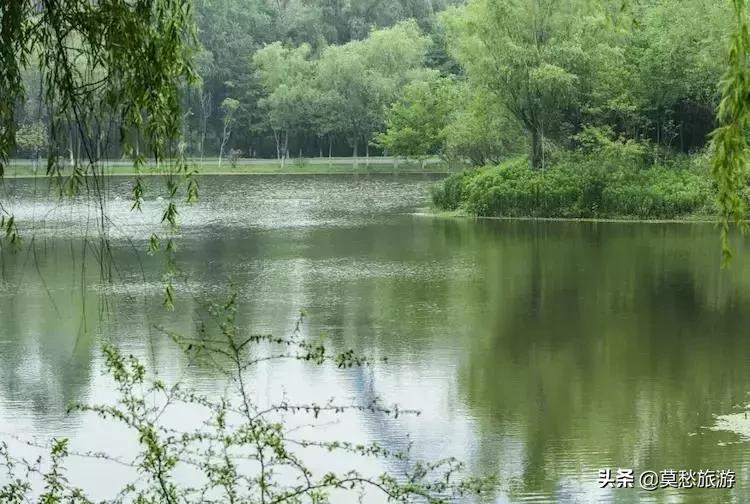 爱喝双拼奶茶的你,知道南京市郊有座免费的“双拼”公园吗?