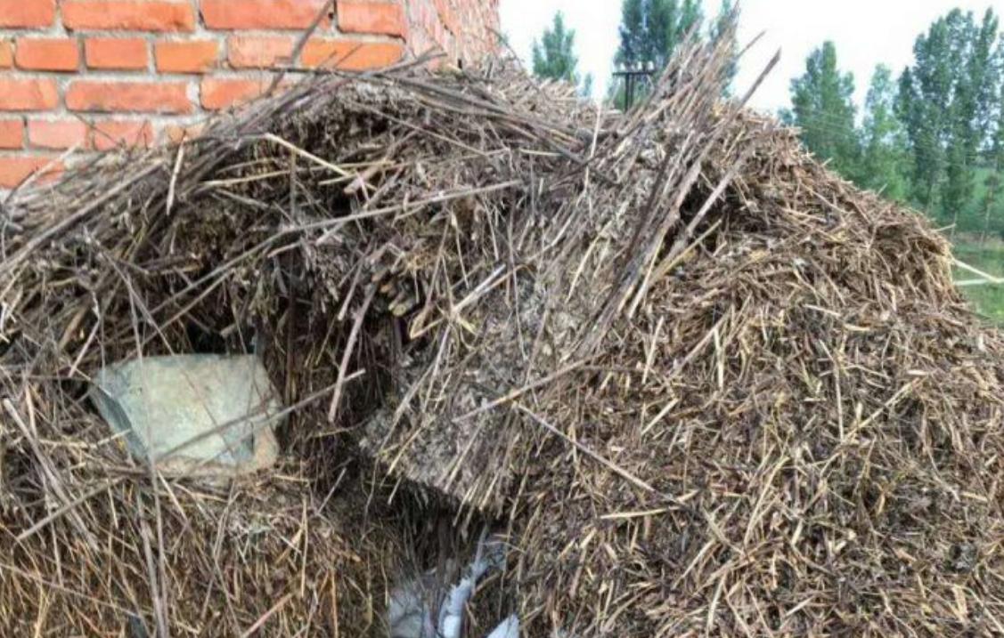 假艾条,劣质艾条