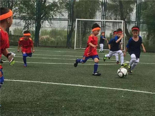 飞扬足球,飞扬足球预测