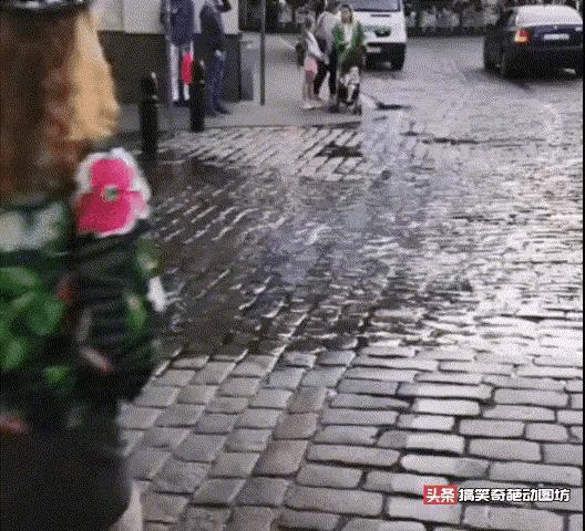 动图搞笑瞬间,遇事不要慌搞笑动图