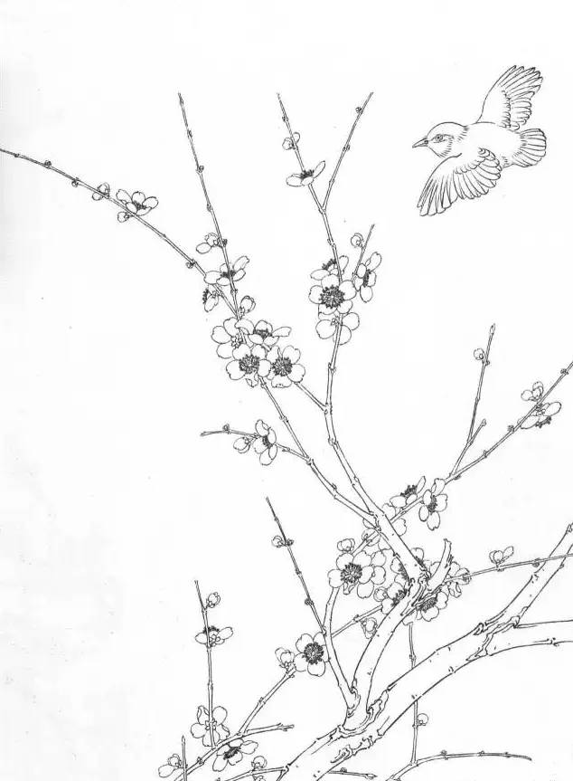 工笔梅花的分染上色教程,工笔梅花的10种设色技法收藏起来