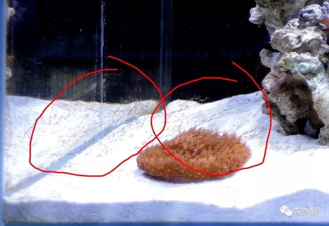 光说不练假把式图片,光说不练假把式怎么回复