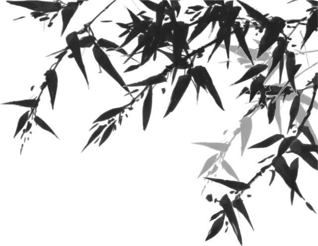 春天生脉饮,夏季喝生脉饮还是玉屏风散