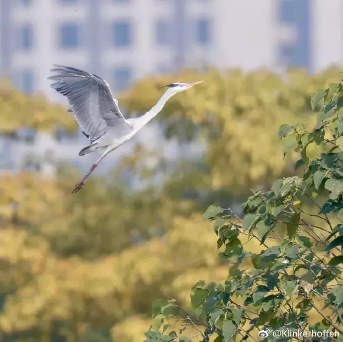 地铁直达!广州15个最适合春游的打卡点,春暖花开超好玩!