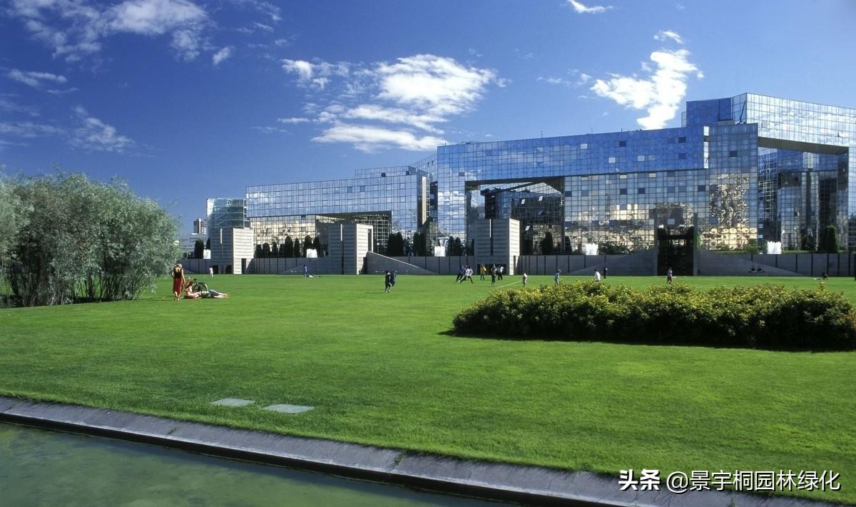 绿化草种种植方法,绿化种草籽的正确方法