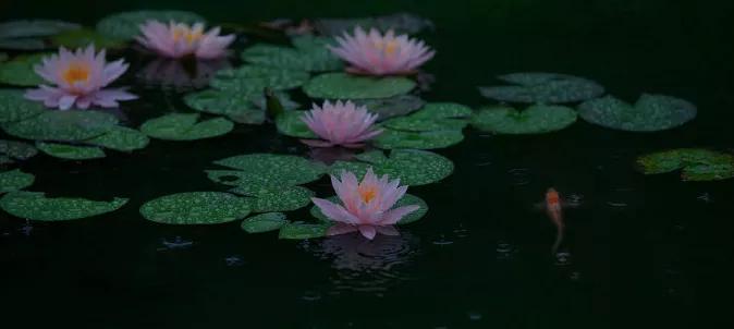 白日两人闲——白音格力