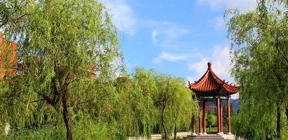 山东省高校（十一）青岛科技大学