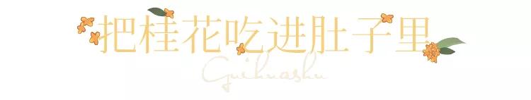 武汉的桂花，香了「美文|科普|导游」